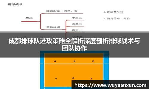 成都排球队进攻策略全解析深度剖析排球战术与团队协作