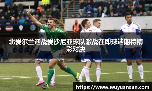北爱尔兰迎战爱沙尼亚球队激战在即球迷期待精彩对决