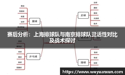 赛后分析：上海排球队与南京排球队灵活性对比及战术探讨